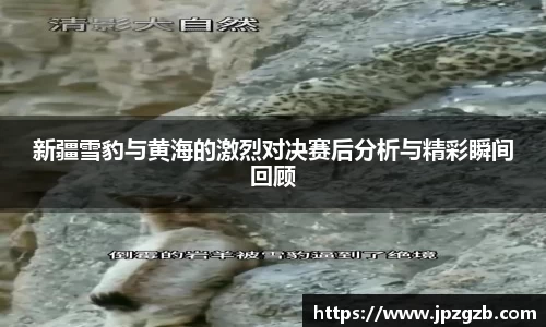 新疆雪豹与黄海的激烈对决赛后分析与精彩瞬间回顾
